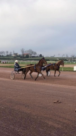 Apprenti-recherche-ecurie
