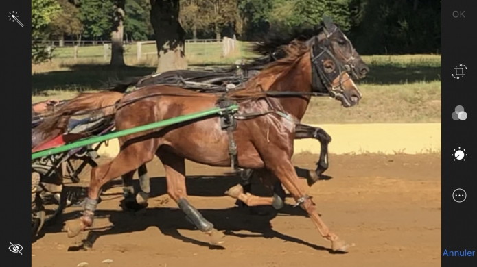 Hugo-de-Dussac