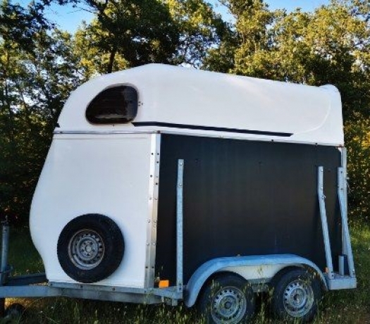 VAN-Cheval-liberte-annee-2000--2-places