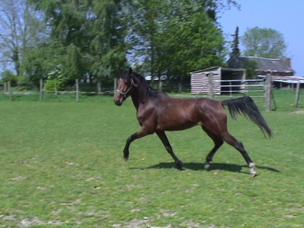 HERVE-poulain-3-ans