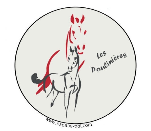 Vds-plusieurs-poulinieres