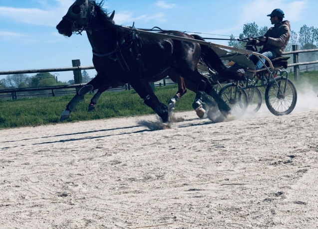 Debourrage--entrainement