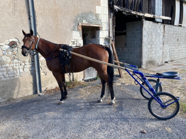 CYRUS-SAUTONNE
