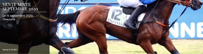 Courtier-present-a-la-vente-Arqana-ce-mardi
