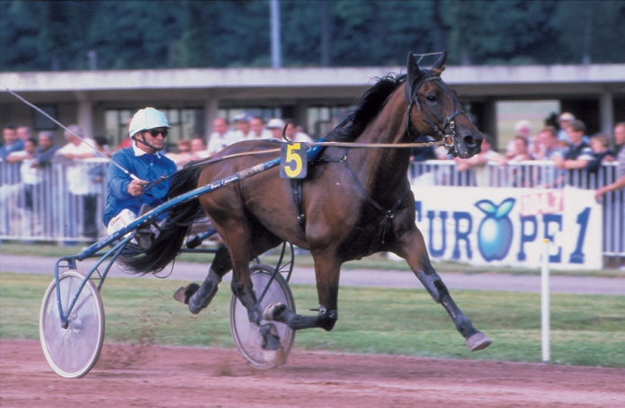 Saillies-BOCCADOR--PASSWORD--EXPRESS--DOBERMAN--CARAT
