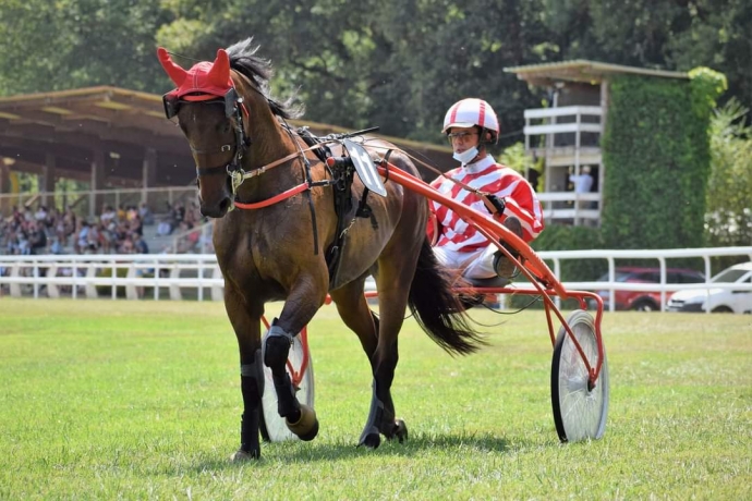 Ecurie-Sud-Ouest-recherche-chevaux-en-location