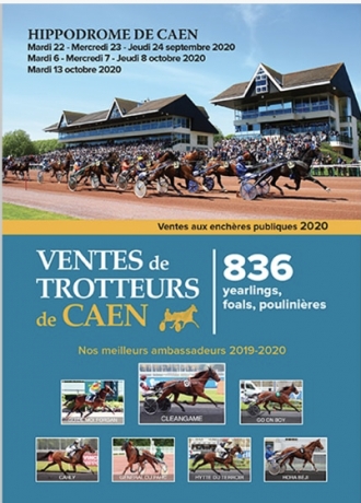 Courtier-present-a-la-vente-de-yearlings-a-Caen