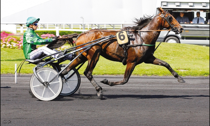 Saillie-ERIDAN-et-4-autres-fils-de-READY-CASH