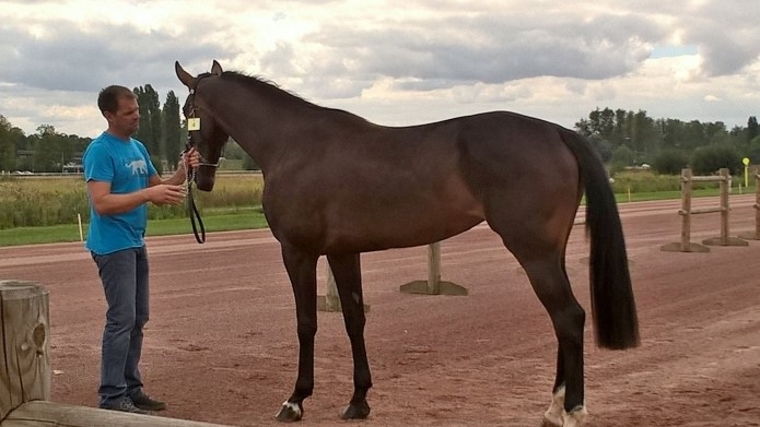 Galaxie-de-Prez-(-ni-ho-ped-d---ombree)-1-16-gains-4300-euros