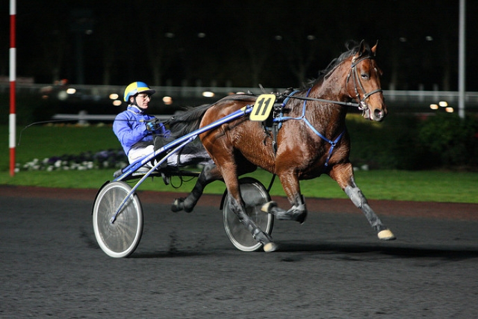 Saillies-gratuites-contre-PE