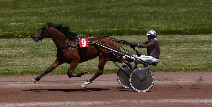 Gloria-du-mouriez--a-reessayer-ou-pouliniere--7-000-euros-de-gains-