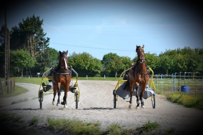 Debourrage--pre-entrainement--remise-en-forme-a-la-mer