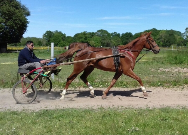 A-vendre-F-10400-de-gains