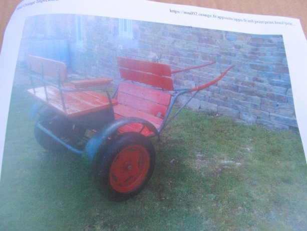 CARRIOLE-POUR-CHEVAL-poney
