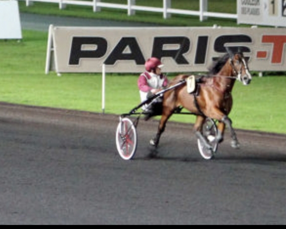 Saillie-Atlas-de-Joudes