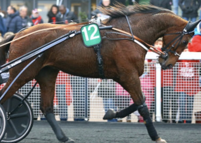 Saillie-Dijon