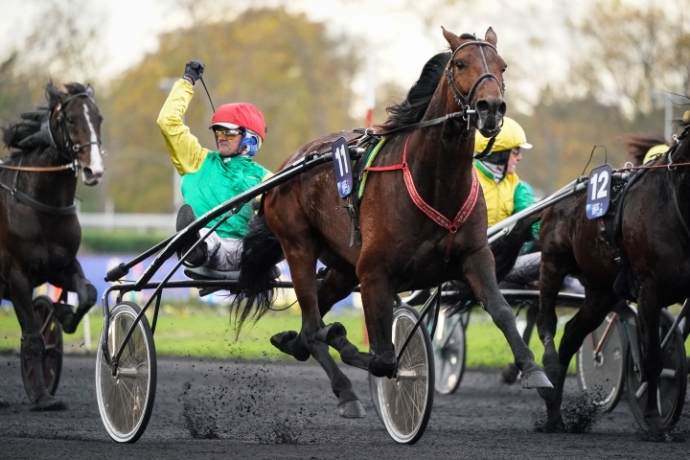 Foal-soeur-de-DAVIDSON-DU-PONT