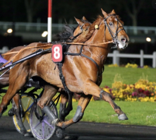 Saillie-Dollar-Macker-(TVA)--35--de-qualifies-chez-les-I