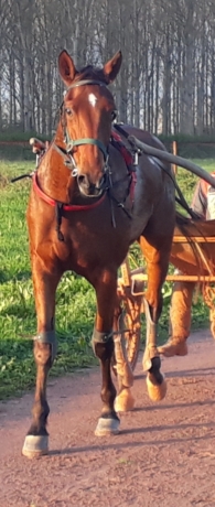 GEORGE-WASHINGTON