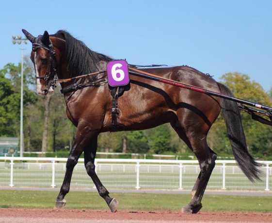 Saillie-FELICIANO-et-2-autres-fils-de-READY