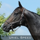 Uriel-speed