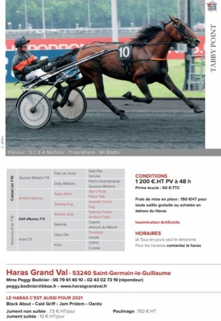 Vends-saillies-de-TABBY-POINT(A-A)-fils-de-COKTAIL-JET-base-a-LAVAL