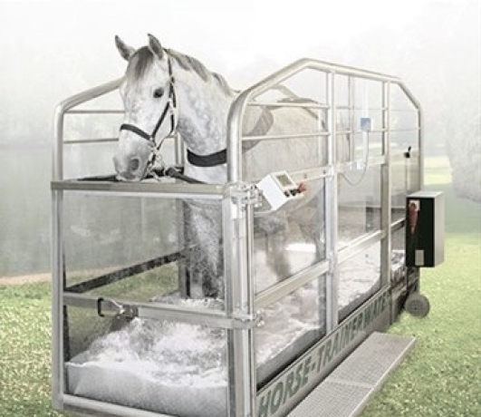 Diagnostique--Reparation--Maintenance-de-Tapis-roulant-HORSE-TRAINER