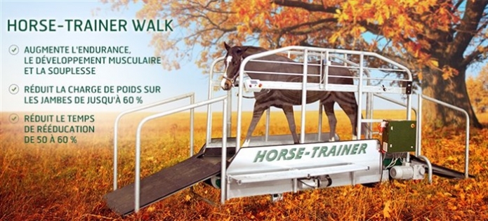 Tapis-HORSE-TRAINER-WALK