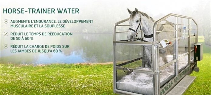 HORSE-TRAINER-WATER