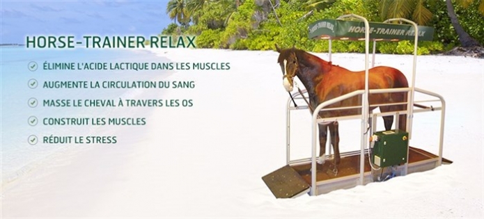 HORSE-TRAINER-RELAX