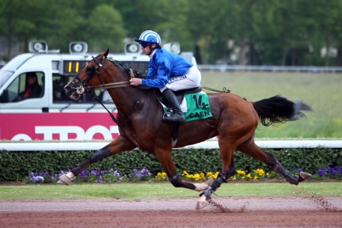VDS-SAILLIE-DE-FEELING-CASH-PRIX-CATALOGUE-0
