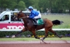 VDS-SAILLIE-DE-FEELING-CASH-PRIX-CATALOGUE-0