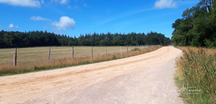 Bel-etablissement-parfaitement-equipe-sur-16ha