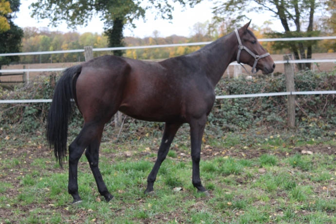 I-qualifiee-1---19-soeur-gagnante-Vincennes-0