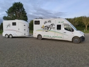 Transport-de-chevaux