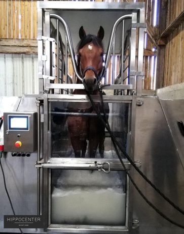 Spa-balneotherapie-pour-chevaux--HIPPOCENTER-2