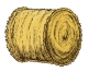 Foin-2020-0