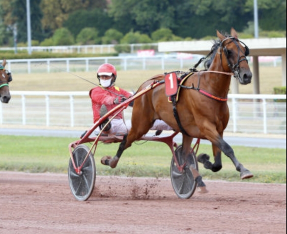 Saillie-Drole-de-Jet-remisee-(avec-TVA)