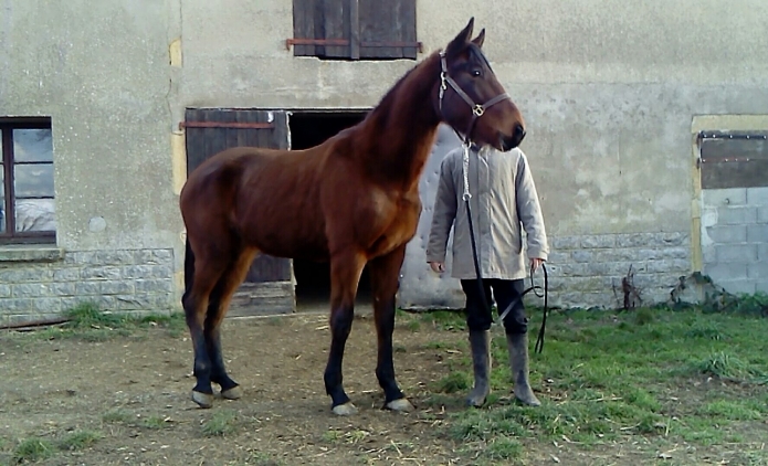 JOUVENCE-DUTOLLEM-1