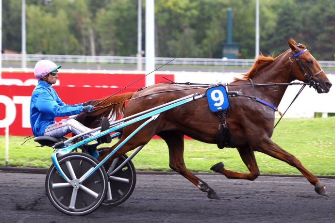 Saillie-CARAT-WILLIAMS-et-3-autres-0