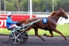 Saillie-CARAT-WILLIAMS-et-3-autres-0