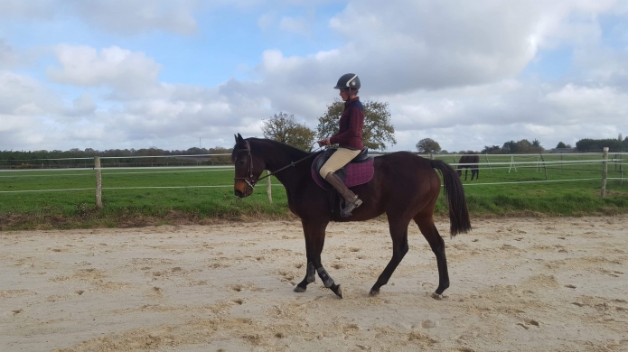 Recherche-trotteurs-de-reforme-2