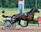 Saillie-BRIAC-DARK-(Prince-Gede)-SANS-TVA-0