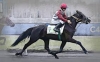 Propose-saillie-de-Hudson-Vedaquais-2