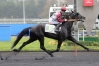 Propose-saillie-de-Hudson-Vedaquais-1
