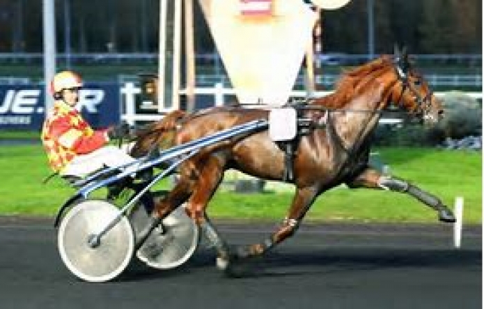 les annonces gratuites du trot