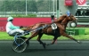 Saillie-Gamin-des-Perdrix-0