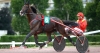 Saillie-EXPRESS-JET-vente-echange-0