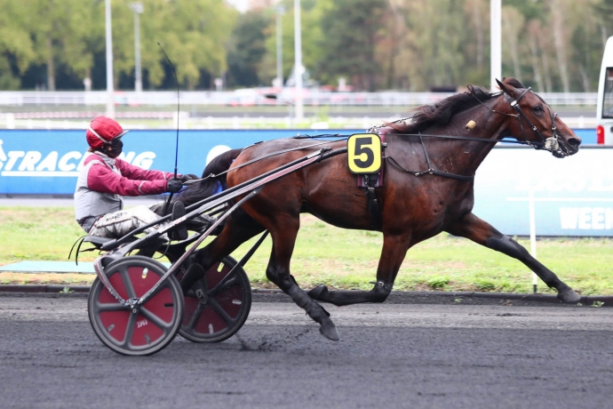 VDS-SAILLIE-DE-HOHNECK-0
