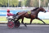 VDS-SAILLIE-DE-HOHNECK-0